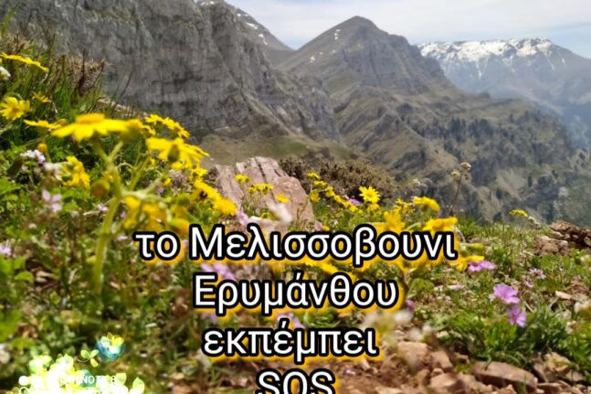 ΔΕΥΑΠ