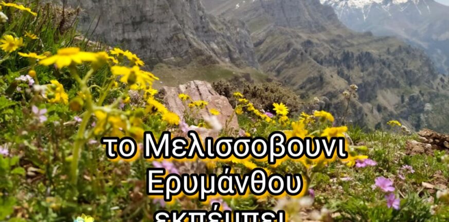 Αγωνιστική