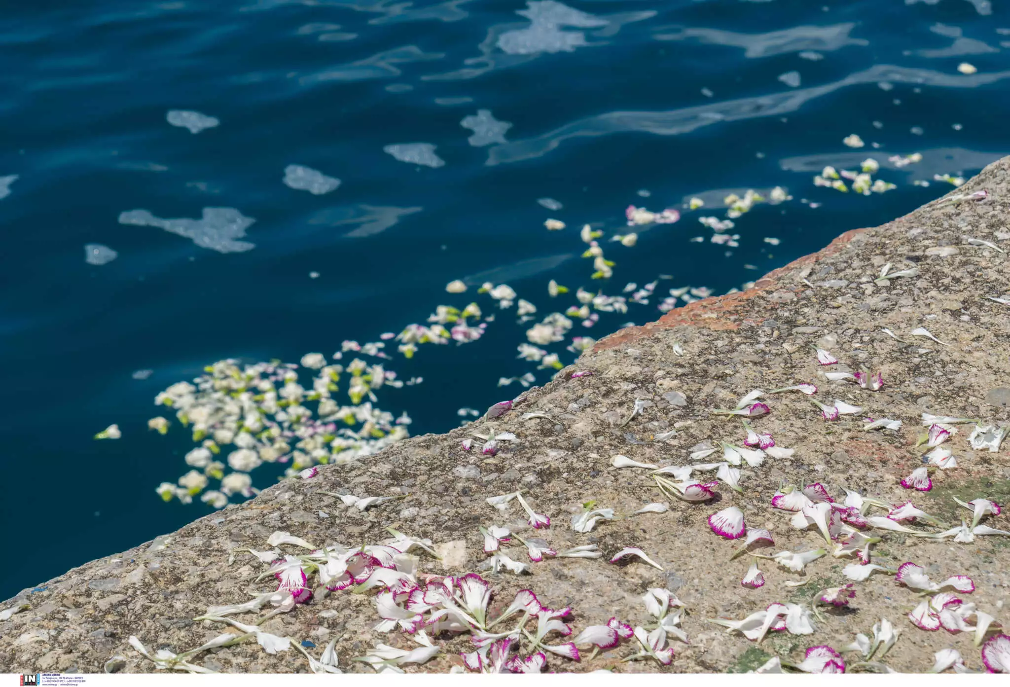 Καλαμάτα: Τρισάγιο για τα θύματα του ναυαγίου με ροδοπέταλα στη θάλασσα