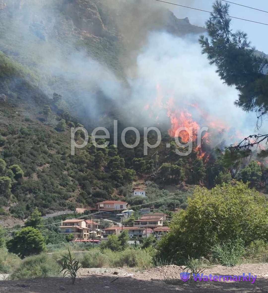 Φωτιά στην Αιγιάλεια: Εκκενώνονται δύο οικισμοί - Κλειστή παραμένει η κυκλοφορία στην ΠΕΟ - Επιχείρηση και με εναέρια μέσα ΦΩΤΟ - ΒΙΝΤΕΟ