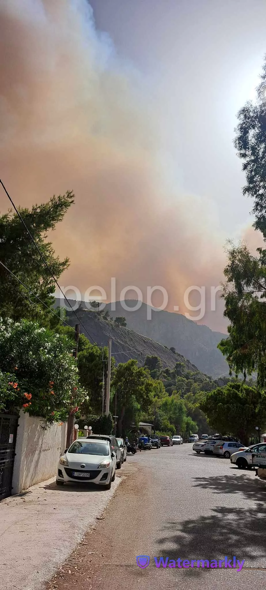 Φωτιά στην Αιγιάλεια: Εκκενώνονται οι οικισμοί Καθολικό και Κάστρο - Συνεχίζουν τη μάχη επίγειες και εναέριες δυνάμεις ΦΩΤΟ - ΒΙΝΤΕΟ