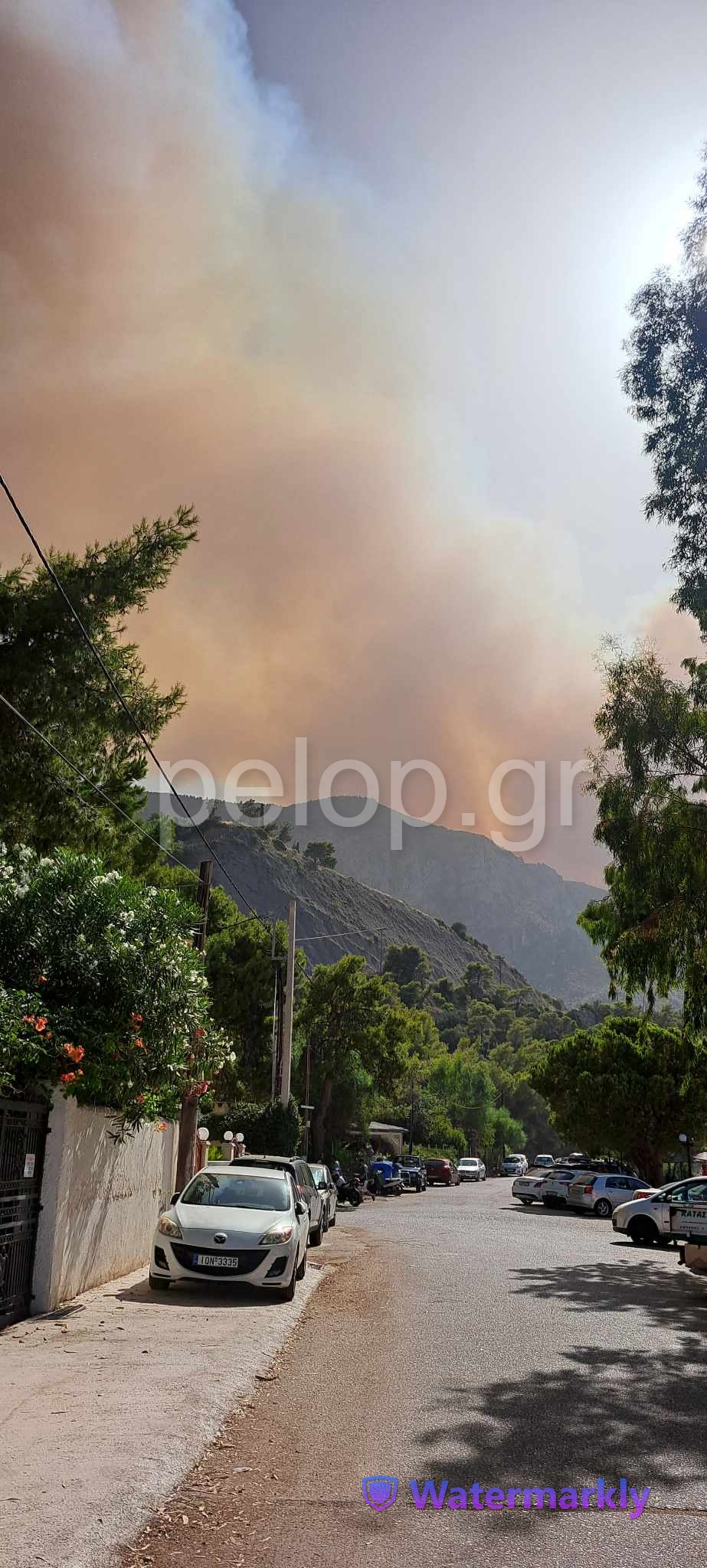 Φωτιά στην Αιγιάλεια: Εκκενώνονται οι οικισμοί Καθολικό και Κάστρο - Συνεχίζουν τη μάχη επίγειες και εναέριες δυνάμεις