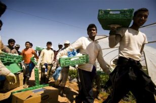 Δυτική Αχαΐα: «Βάλτωσαν» οι νόμιμοι αλλοδαποί εργάτες γης - Στον «αέρα» και η φετινή αγροτική παραγωγή