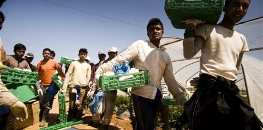 Δυτική Αχαΐα: «Βάλτωσαν» οι νόμιμοι αλλοδαποί εργάτες γης - Στον «αέρα» και η φετινή αγροτική παραγωγή