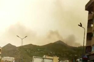 Αλγερία: 25 νεκροί και 26 τραυματίες σε 97 φωτιές – Στους 48 βαθμούς έφτασε ο υδράργυρος