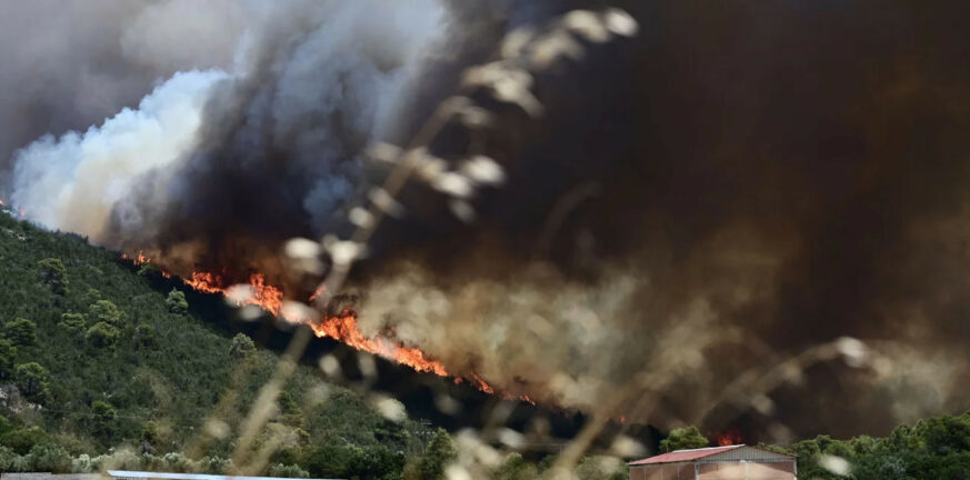 Εκτός ελέγχου η φωτιά στα Δερβενοχώρια - Μάχη να μη φτάσει στη Μάνδρα - Εκκένωση οικισμών