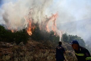 Δερβενοχώρια: Μάχη με τις φλόγες κοντά στο χωριό Στεφάνη - Διαρκείς αναζωπυρώσεις
