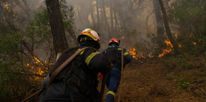 Αχαΐα: Πήραν προαγωγή στην Πολιτική Προστασία - Ποιες εθελοντικές οργανώσεις εντάχθηκαν στο ενιαίο μητρώο