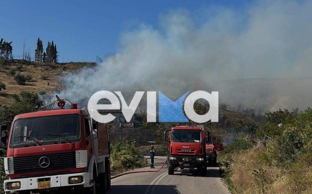 Εύβοια: Νέα μεγάλη φωτιά – Οι φλόγες έφτασαν μέσα στο χωριό Κοντοδεσπότι