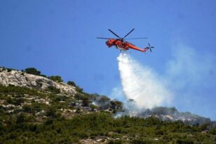 Φωτιά στο Δαμάσι Τυρνάβου: Καίγεται δάσος - Ισχυρές δυνάμεις της Πυροσβεστικής