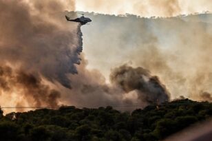 Πυρκαγιές 2023: Για 4η ημερά ενεργά πύρινα μέτωπα - Ερχονται ενισχύσεις από το εξωτερικό