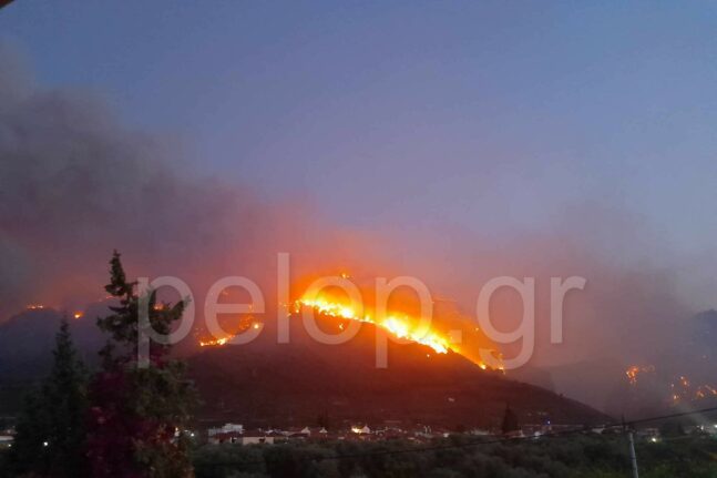 Πατρινό