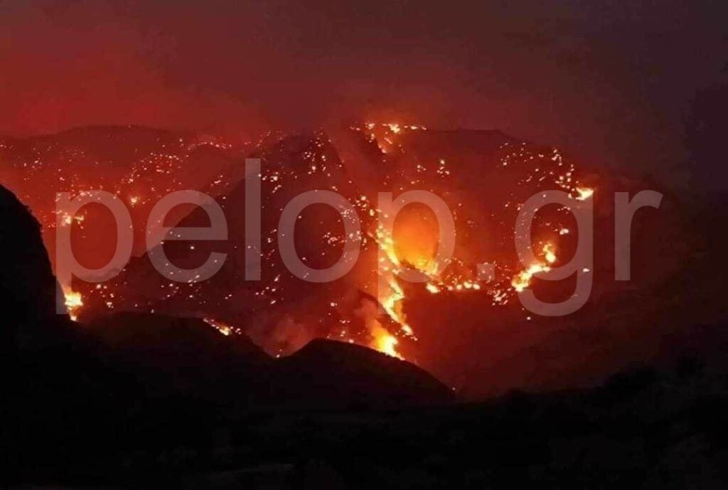 Πυρκαγιά Διακοπτό: Ξεκινά η καταγραφή των ζημιών