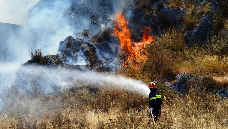 Συναγερμός στο Διδυμότειχο - Φωτιά κοντά σε κατοικημένη περιοχή - Κάηκαν 20 στρέμματα ΝΕΟΤΕΡΑ