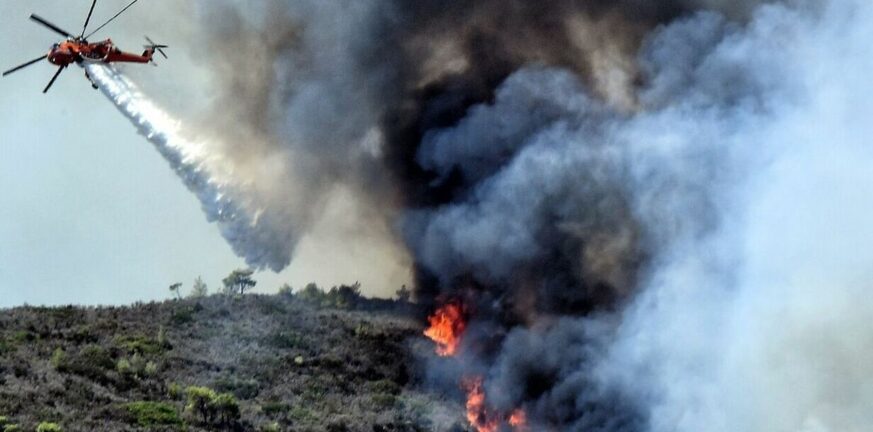 Φωτιά στον Έβρο: Δύο παιδιά μεταξύ των απανθρακωμένων στο δάσος της Δαδιάς