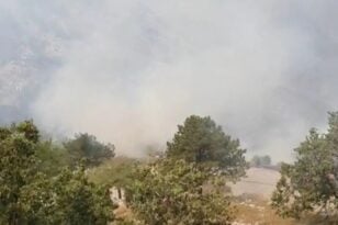 Φωτιά στην Κέρκυρα: Μάχη με τις αναζωπυρώσεις