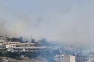 Φωτιά στη Λαμία: Νέος συναγερμός στο πίσω μέρος του Αφανού - ΒΙΝΤΕΟ