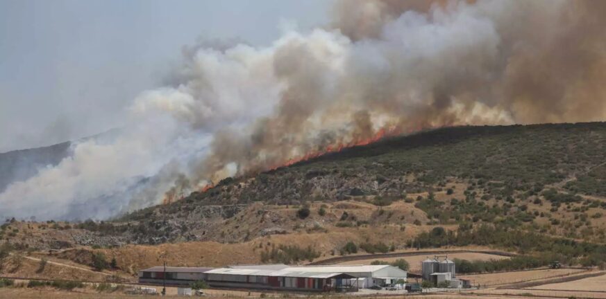 Φωτιά στο Βόλο: Υπό έλεγχο η φωτιά στη ΒΙΠΕ και στην 111 Πτέρυγα Μάχης - Αναμένονται δυνατοί άνεμοι, δύσκολη η αποψινή νύχτα ΦΩΤΟ