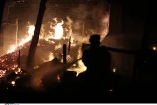 Φωτιά στην Ναυπακτία: Στις φλόγες η περιοχή του Γαλατά