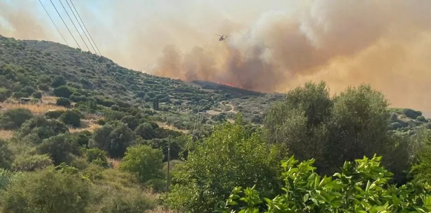 Μεγάλη φωτιά στη Μεσσηνία - Καίει κοντά σε σπίτια