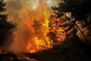 Φωτιά στον Ωρωπό - Περισσότεροι από 60 πυροσβέστες στην μάχη με τις φλόγες