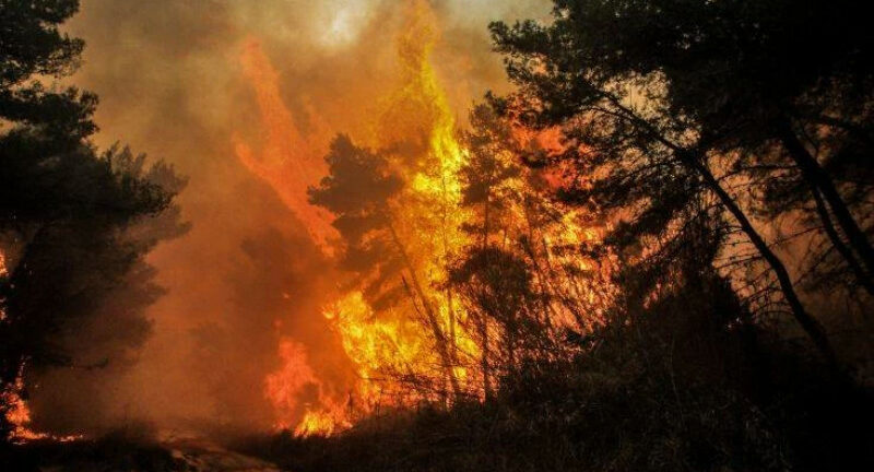 Δυτικής Ελλάδα: Στο «κόκκινο» σήμερα για κίνδυνο πυρκαγιάς