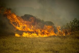 Ανεξέλεγκτη η φωτιά στη Ρόδο: Συνεχίζεται η μάχη με τις φλόγες σε 4 μέτωπα - Εκκενώνεται το χωριό Βάτι