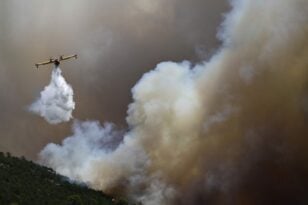 Φωτιά στη Ρόδο - Βαθρακογιάννης: Σε εξέλιξη μεγάλη αναζωπύρωση - Ενημέρωση για όλα τα πύρινα μέτωπα