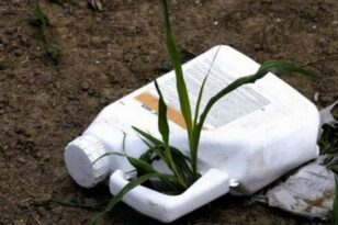 Πάτρα: Τι έδειξε η ιατροδικαστική έρευνα για τον νεκρό κτηνοτρόφο στο Ανω Καστρίτσι
