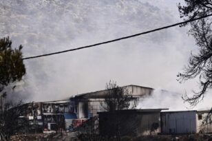 Φωτιές: Αναζωπυρώθηκε το μέτωπο στο Καραούλι Μάνδρας