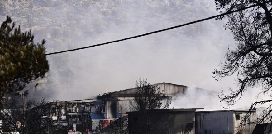 Φωτιές: Αναζωπυρώθηκε το μέτωπο στο Καραούλι Μάνδρας
