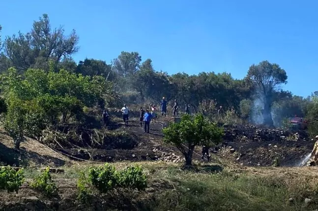 Τουλάτου