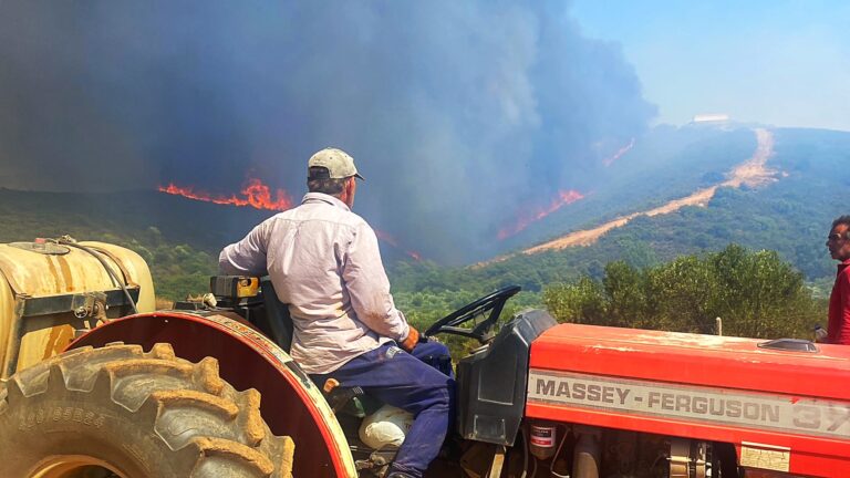 Λακωνία: Ξεκινούν οι αποζημιώσεις για την πυρκαγιά στο Δαφνί