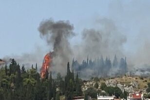 Φωτιά στη Λαμία: Εντολή εκκένωσης του βόρειου τμήματος της πόλης - Κάηκαν σπίτια