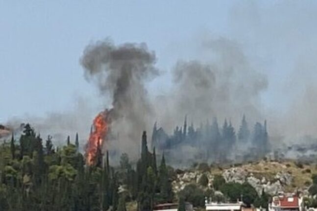 Αρτοποιός