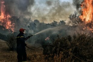 Φωτιά στα Μέγαρα: Έκκληση για περισσότερα εναέρια μέσα - «Ούτε αεροπλάνα ούτε τίποτα δεν επιχείρησε σήμερα»