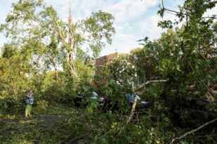 Μιλάνο: Τραγωδία με 16χρονη - Την καταπλάκωσε δέντρο ενώ κοιμόταν στη σκηνή της - ΦΩΤΟ
