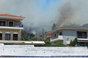 Ναύπακτος: Οριοθετήθηκε η φωτιά που ξέσπασε μέσα στα σπίτια στον Πλατανίτη - Επιχειρεί ελικόπτερο Έρικσον - Τραυματίστηκε πυροσβέστης -ΒΙΝΤΕΟ