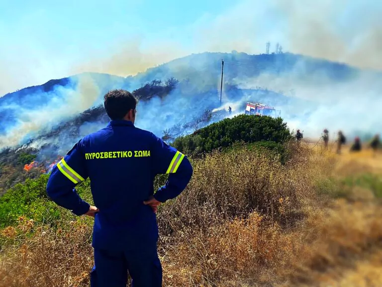 &Phi;&omega;&tau;&iota;ά &sigma;&tau;&eta; &Phi;&theta;&iota;ώ&tau;&iota;&delta;&alpha;: &Pi;&upsilon;&rho;&kappa;&alpha;&gamma;&iota;ά &sigma;&epsilon; &chi;&alpha;&mu;&eta;&lambda;ή &beta;&lambda;ά&sigma;&tau;&eta;&sigma;&eta; &sigma;&tau;&eta;&nu; &Kappa;ά&tau;&omega; &Delta;&alpha;&mu;ά&sigma;&tau;&alpha;