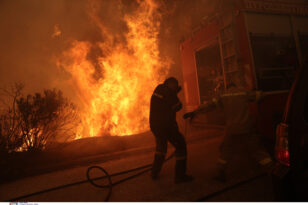 Φωτιές: Εποχικός πυροσβέστης κρατείται για εμπρησμούς στην Κεφαλονιά