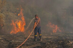 Φωτιά στην Αλεξανδρούπολη: Έφτασαν στο δάσος της Δαδιάς οι φλόγες – «Βρέχει» στάχτη στην πόλη, εγκλωβισμένοι Τούρκοι τουρίστες