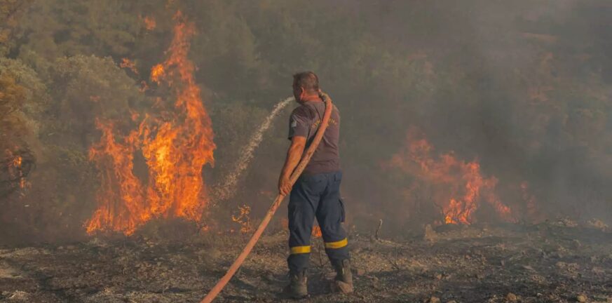 Φωτιά στην Αλεξανδρούπολη: Έφτασαν στο δάσος της Δαδιάς οι φλόγες – «Βρέχει» στάχτη στην πόλη, εγκλωβισμένοι Τούρκοι τουρίστες