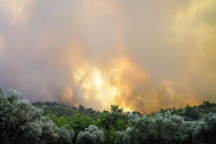 Φωτιά στη Ρόδο: Εφιαλτική νύχτα - Μάχη σε τρία πύρινα μέτωπα - Νέο μήνυμα του 112 - Ενισχύονται οι δυνάμεις ΦΩΤΟ - ΒΙΝΤΕΟ
