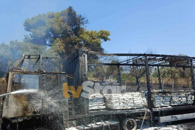 Οινόφυτα: Κάηκε ολοσχερώς νταλίκα στην Εθνική οδό Αθηνών - Λαμίας