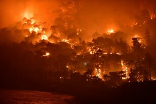 Γαλλία: Ξέσπασε φωτιά κοντά στο αεροδρόμιο της Νίκαιας