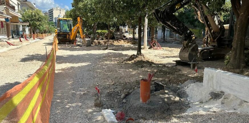 Πάτρα: Ψεκασμός δέντρων την Κυριακή 24 Μαρτίου στην Τριών Ναυάρχων