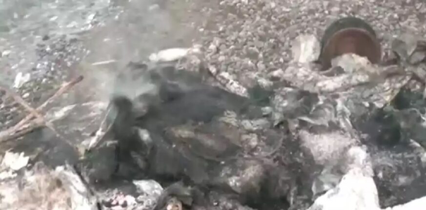 Φωτιά στον Αλμυρό Βόλου: Το τροχόσπιτο όπου βρέθηκε απανθρακωμένη η ηλικιωμένη
