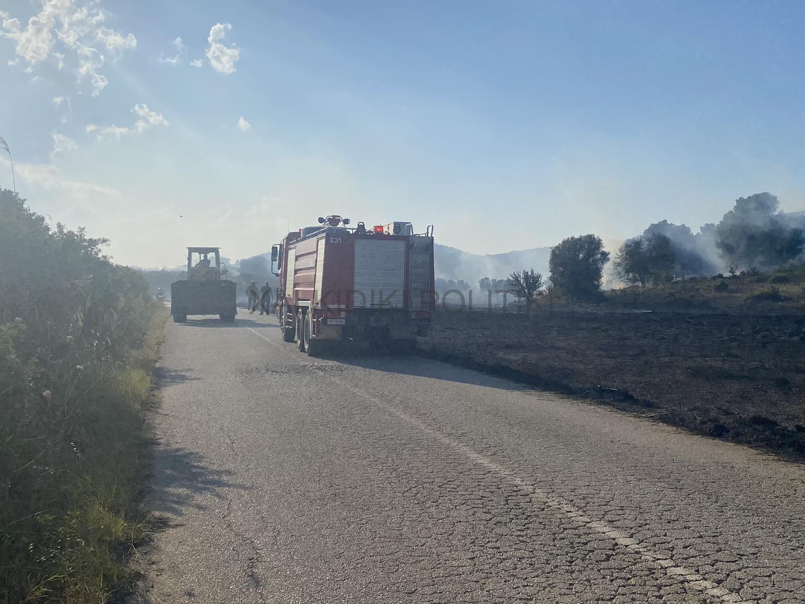 Χαλκιδική: Υπό μερικό έλεγχο η φωτιά - Μάχη με τις φλόγες δίνουν οι πυροσβέστες ΦΩΤΟ