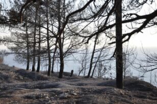 Υπό πλήρη έλεγχο η φωτιά στη Χίο - Κάηκαν πάνω από 600 στρέμματα δασικής έκτασης