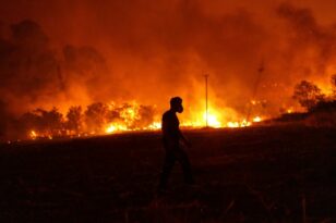 Φωτιές σε όλη την Ελλάδα: Κατάσταση έκτακτης ανάγκης - Δεκάδες νεκροί μετανάστες, καίγονται σπίτια, αμέτρητα τα μέτωπα
